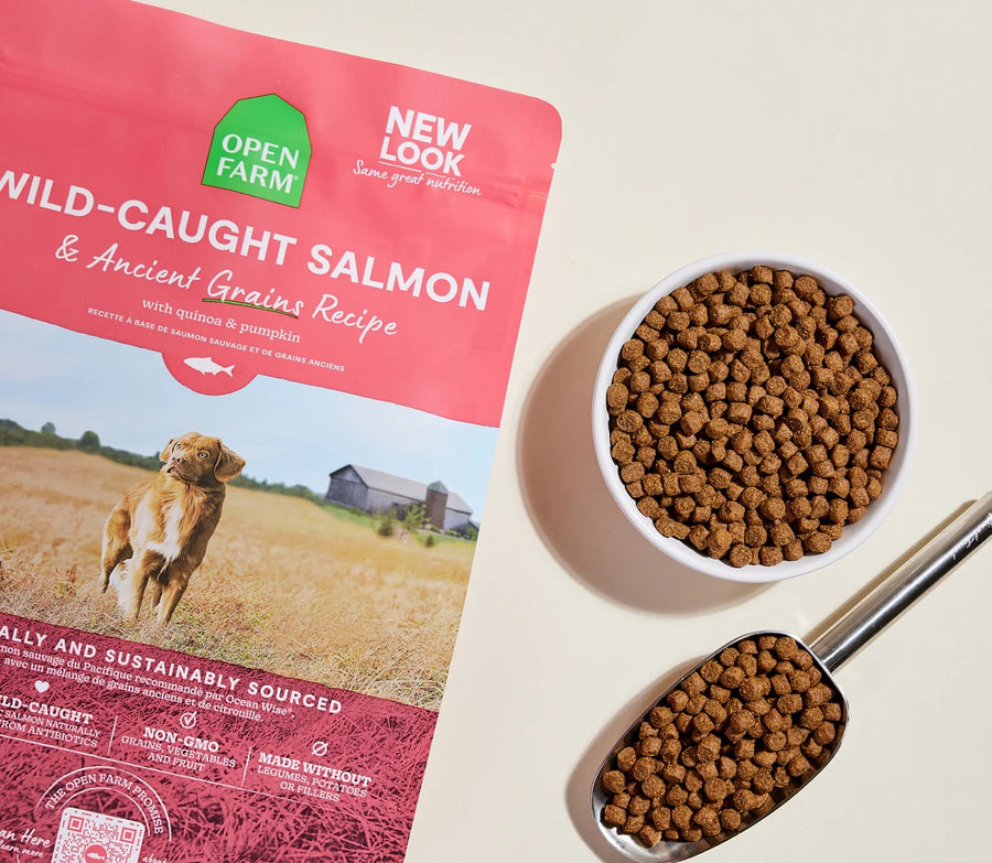 Open Farm Wild Caught Salmon & Ancient Grains Dry Dog Food Serving.