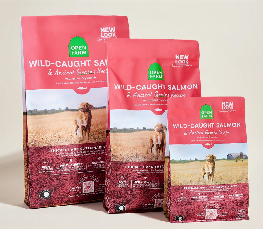 Open Farm Wild Caught Salmon & Ancient Grains Dry Dog Food different sizes.