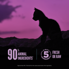 First 5 Ingredients Fresh or Raw - 90% Animal Ingredients Orijen Wild Reserve Chicken and Fish Kitten Recipe Dry Food