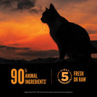 First 5 Ingredients Fresh or Raw 90% Animal Ingredients of Orijen Wild Reserve Free-Run Chicken & Wild-Caught Fish Recipe Dry Cat Food
