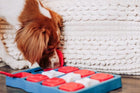 Dog playing Outward Hound Dog Brick Interactive Treat Puzzle Dog Toy
