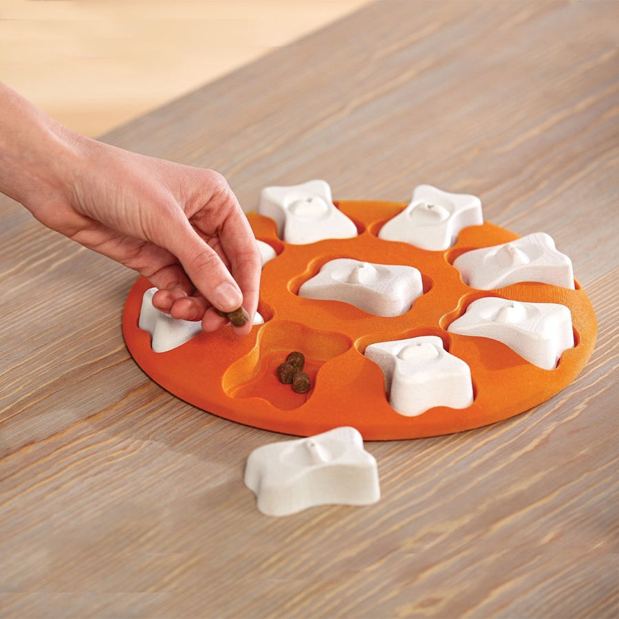An interactive treat puzzle dog toy, with treats hidden inside the puzzle pieces