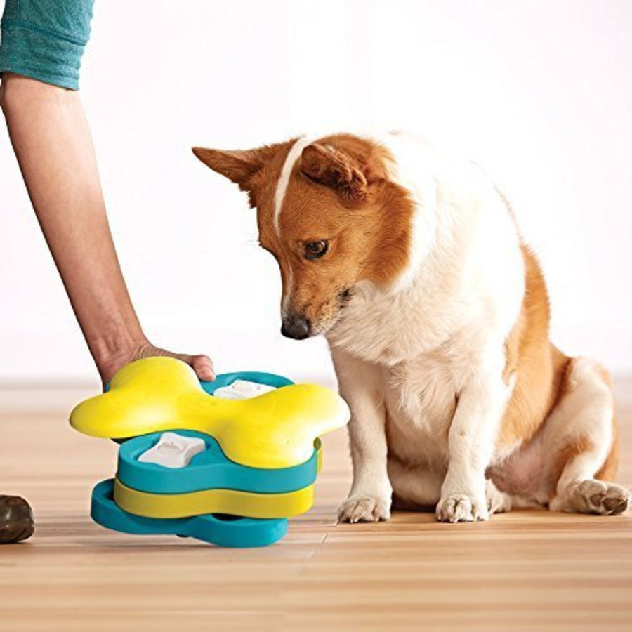 Introducing Outward Hound Dog Tornado Interactive Treat Puzzle Dog Toy to a dog to Play