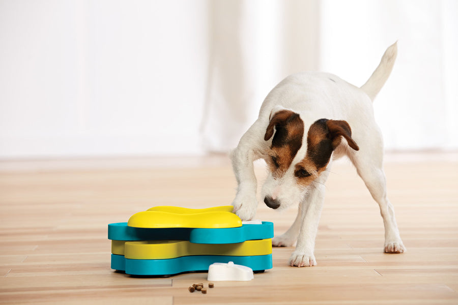 Dog playing with Outward Hound Dog Tornado Interactive Treat Puzzle Dog Toy