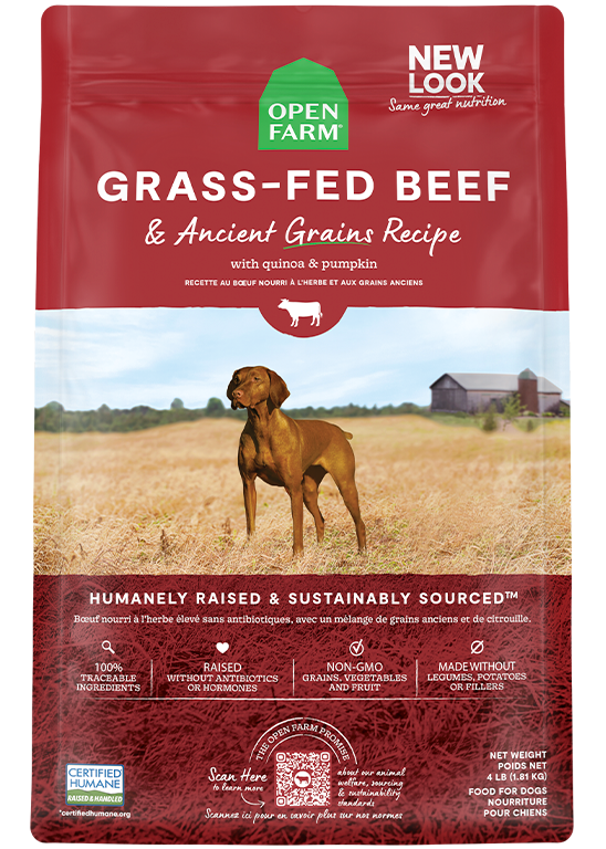 Open Farm Beef and Ancient Grains Dry Dog Food