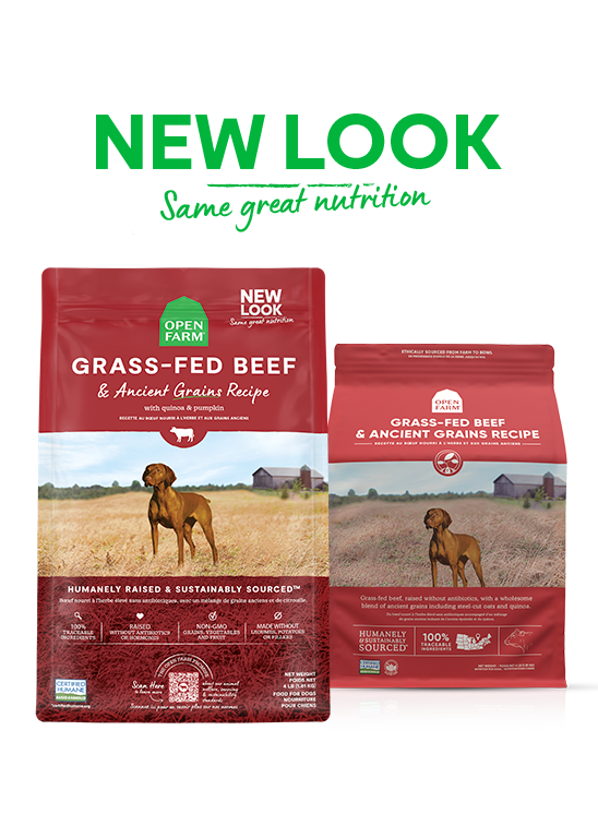 Open Farm Beef and Ancient Grains Dry Dog Food