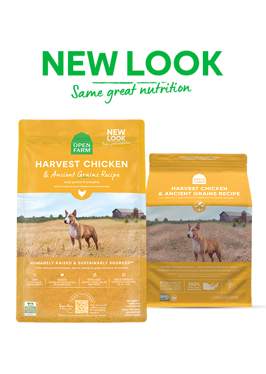 Open Farm Harvest Chicken & Ancient Grains Dry Dog Food