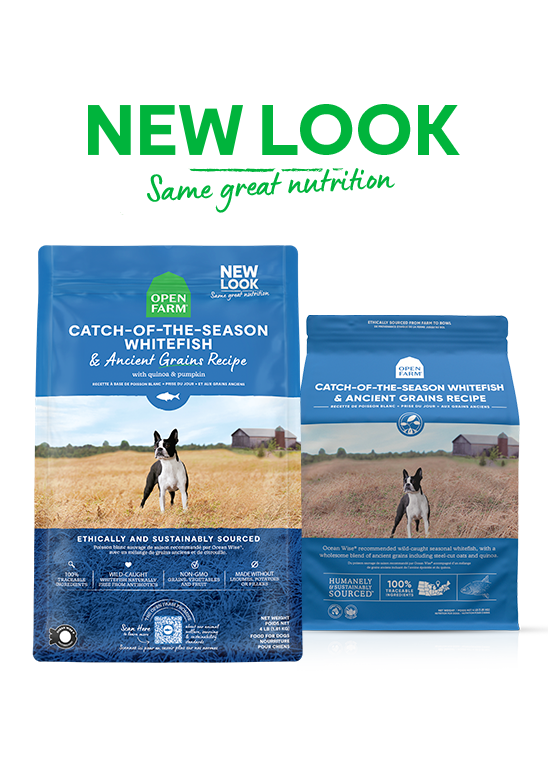 Open Farm Catch-of-the-Season Whitefish & Ancient Grains Dry Dog Food