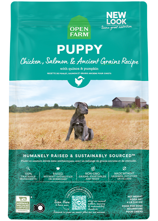 Open Farm Ancient Grains High-Protein Puppy Food Dry Dog Food