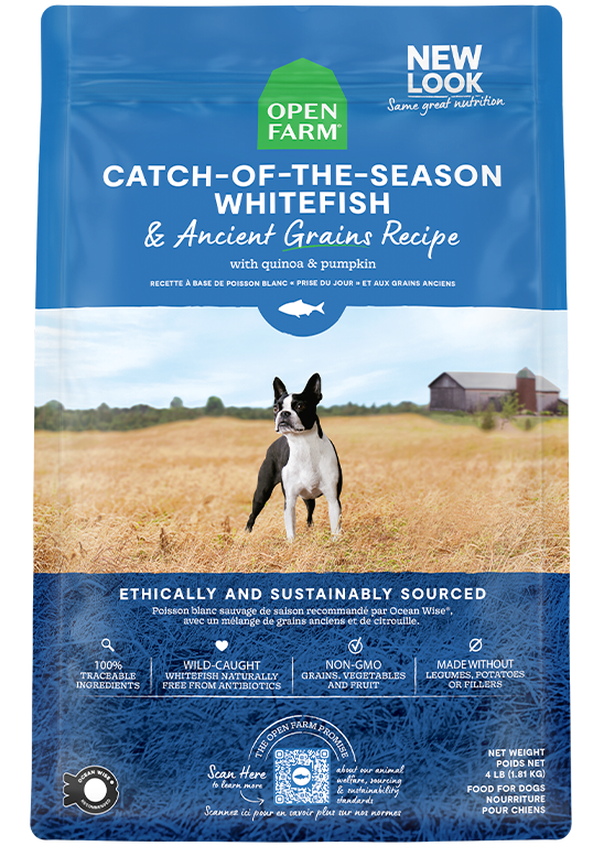 Open Farm Catch-of-the-Season Whitefish & Ancient Grains Dry Dog Food