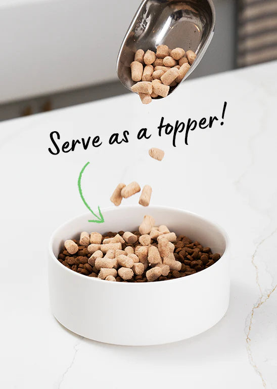 Open Farm Goodbowl Wild Caught Salmon Recipe Freeze Dried Raw Topper for Dogs
