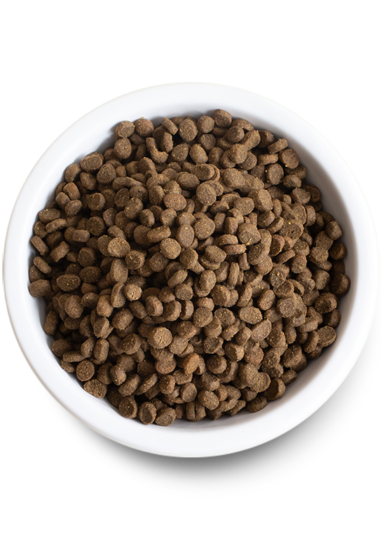 Open Farm Grain Free Kitten Recipe Dry Cat Food