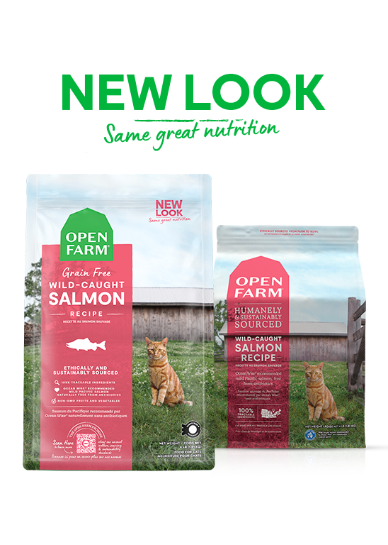 Open Farm Grain Free Wild Caught Salmon Dry Cat Food