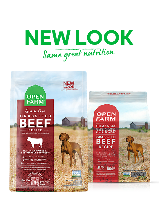 Open Farm Grain Free Grass-Fed Beef Dry Dog Food