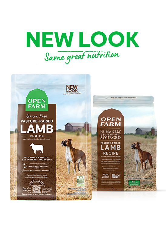 Open Farm Grain Free Pasture-Raised Lamb Dry Dog Food