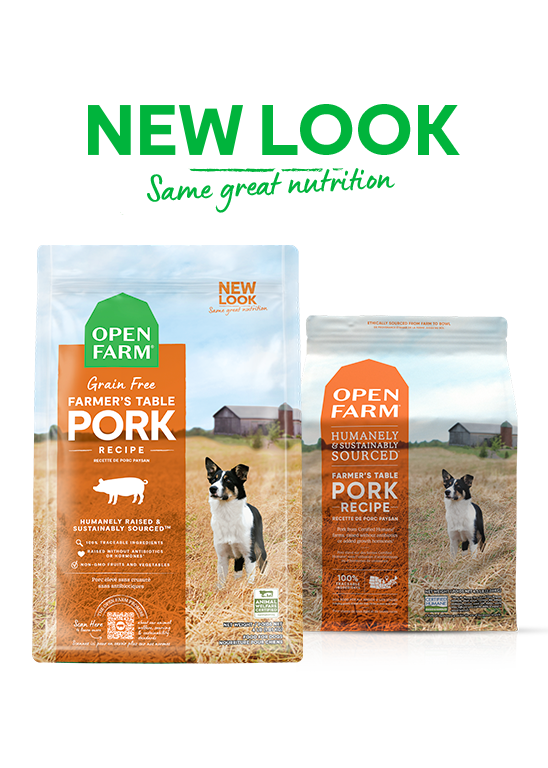 Open Farm Farmer's Market Pork Grain Free Dry Dog Food