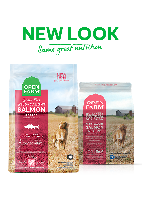 Open Farm Grain Free Wild Caught Salmon Dry Dog Food