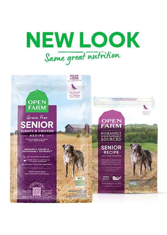 Open Farm Grain Free Senior Dry Dog Food