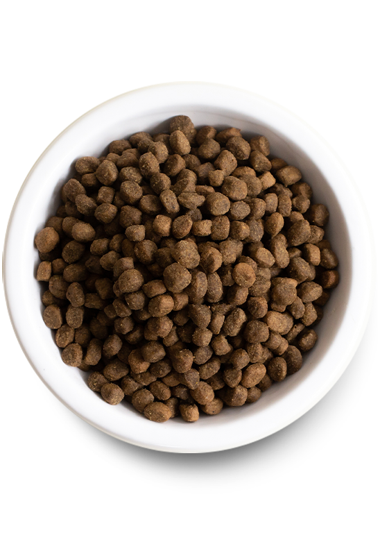 Open Farm Beef and Ancient Grains Dry Dog Food
