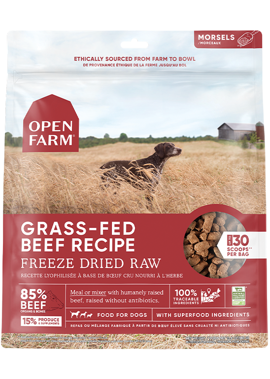 Open Farm Freeze Dried Raw Grass-Fed Beef Morsels For Dogs
