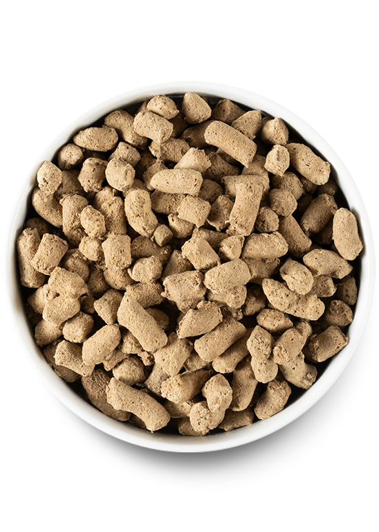 Open Farm Freeze Dried Raw Grass-Fed Beef Morsels For Dogs