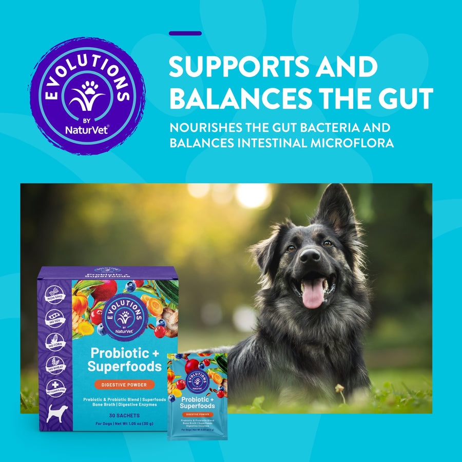 NaturVet Evolutions Probiotic + Superfoods Digestive Powder Sachet for Dogs