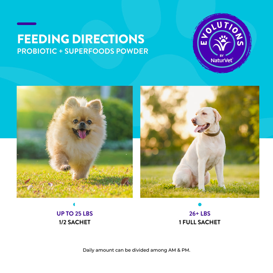 NaturVet Evolutions Probiotic + Superfoods Digestive Powder Sachet for Dogs