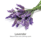 PURE and Natural Pet  Lavender Scented Bath Freshener For Dogs