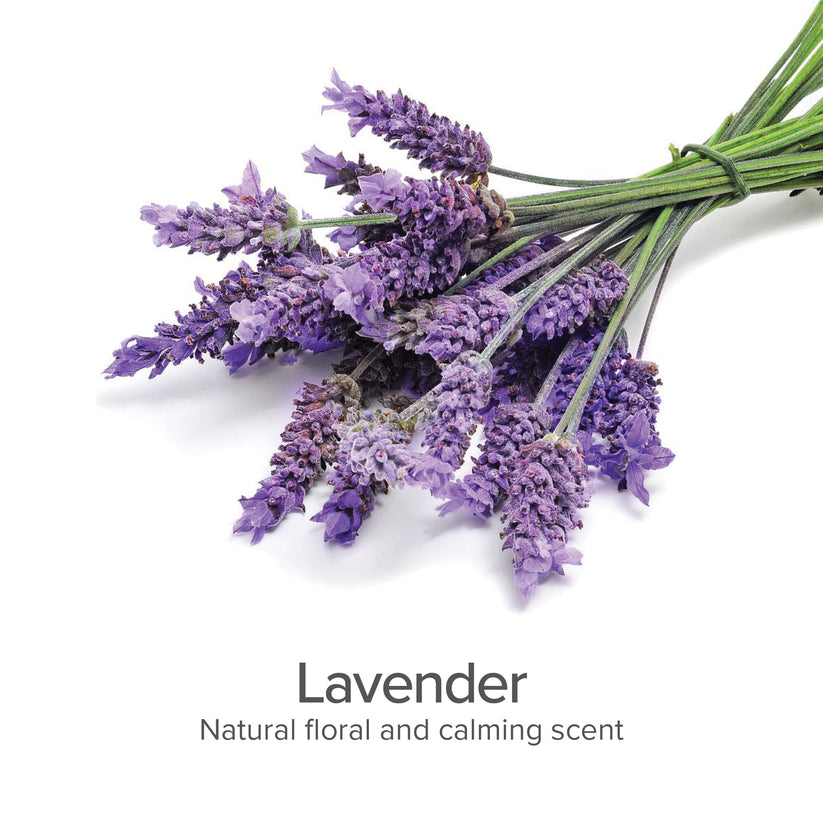 PURE and Natural Pet  Lavender Scented Bath Freshener For Dogs