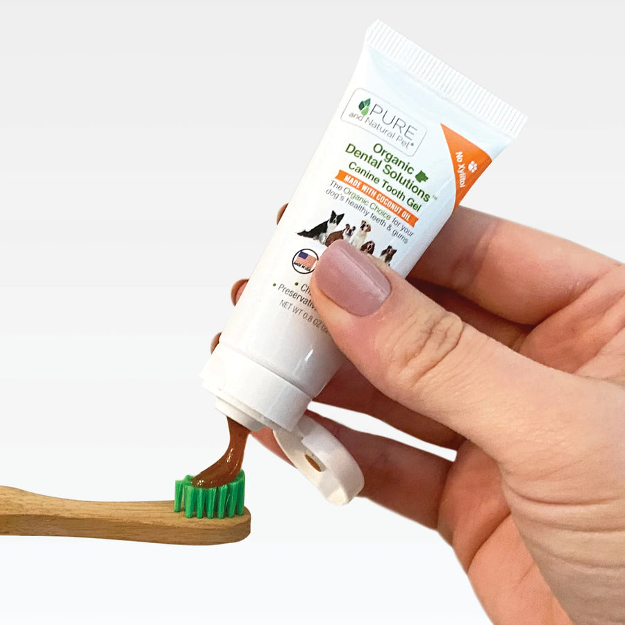 PURE and Natural Tooth Gel squeezed to PURE and Natural Tooth pet toothbrush