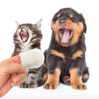 Sample Use of PURE and Natural Pet Plaque & Tarter Removal Wipes for Dogs & Cats 