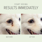 Before and After result of using PURE and Natural Pet Tear Stain Removing Under Eye Wipes