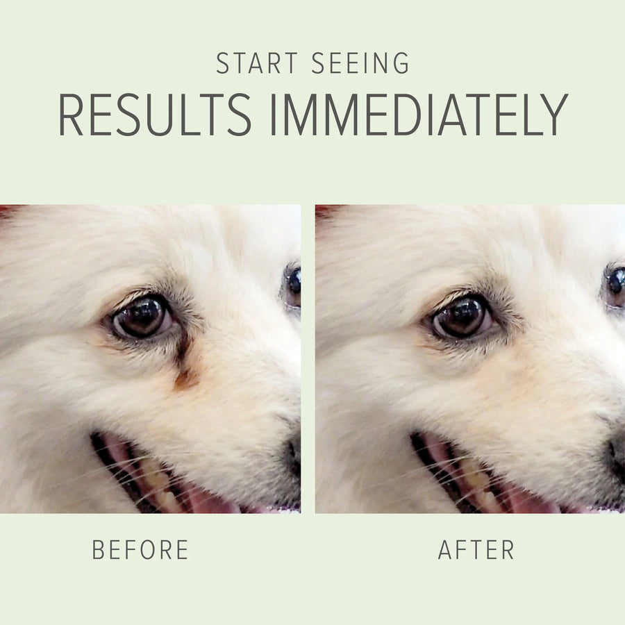 Before and After result of using PURE and Natural Pet Tear Stain Removing Under Eye Wipes