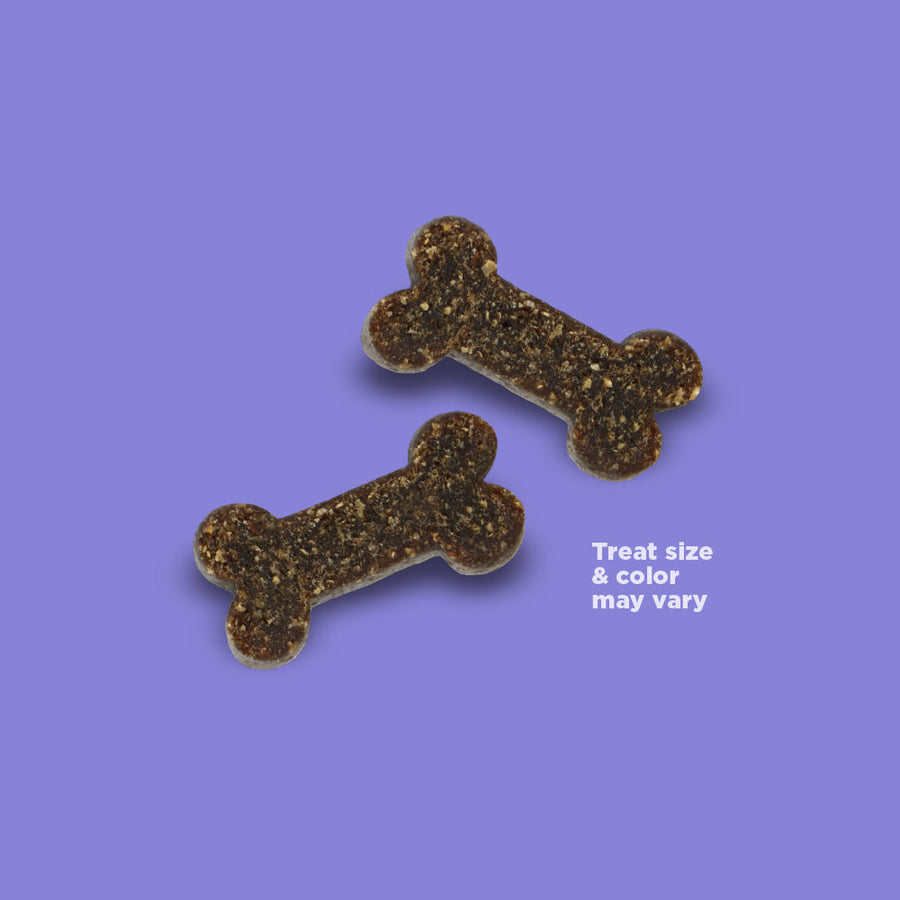 NutriSource PureVita Skin & Coat Salmon Flavor Dog Treats