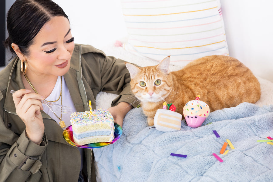 Pearhead Birthday Cake Cat Toy Set, a person smiling and holding a birthday cake while a cat sits next to the cake slice and cupcake toys