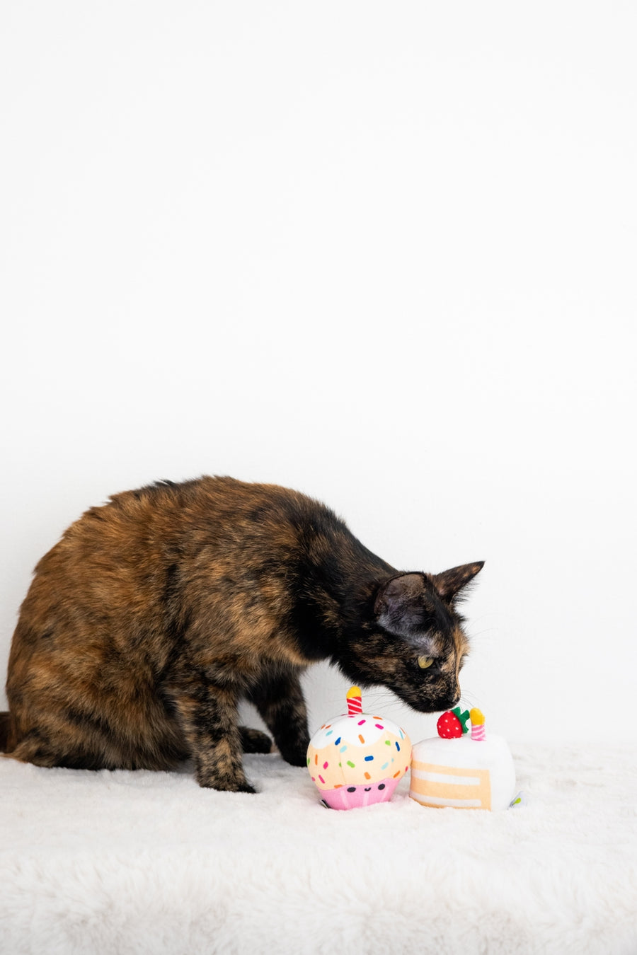 Pearhead Birthday Cake Cat Toy Set, a cat sniffing on the strawberry topper on the sliced cake