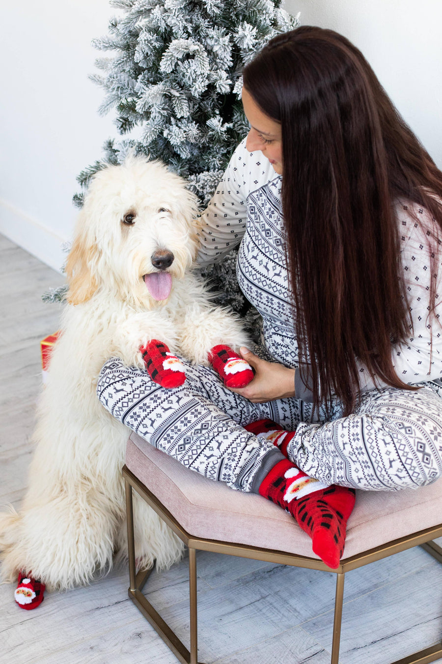 Matching set of Pearhead Human and Dog Matching Christmas Santa Socks