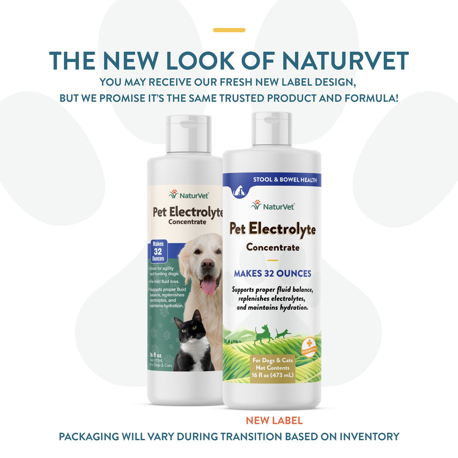 NaturVet Pet Electrolyte Concentrate for Dogs and Cats, 16 oz