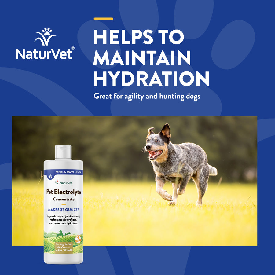 NaturVet Pet Electrolyte Concentrate for Dogs and Cats, 16 oz