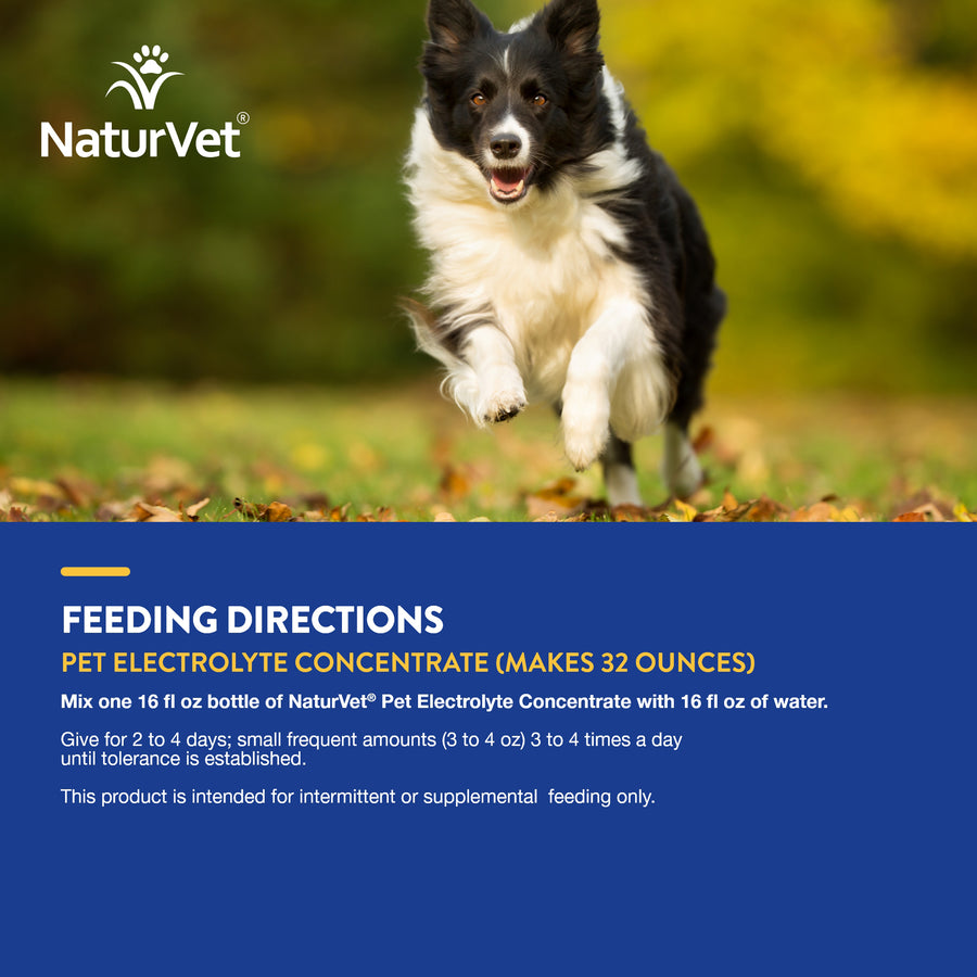 NaturVet Pet Electrolyte Concentrate for Dogs and Cats, 16 oz