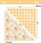 Double Sided Display of Pet Birthday Bandana Large