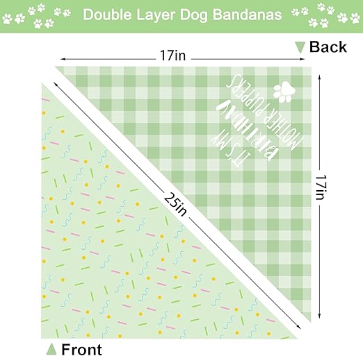 Double layer of Pet Birthday Bandana Large 