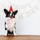 Dog using Pet Birthday Bandana Large