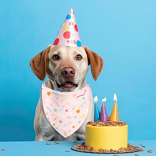 Dog using Pet Birthday Bandana Large