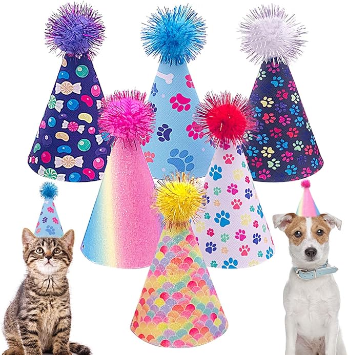 Assorted Mix of Pet Birthday Hat Small / Medium