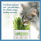 Pet Greens Self Grow Garden Wheat Grass Cat Treat, seed and soil-just add water for a fresh, unique healthy cat treat