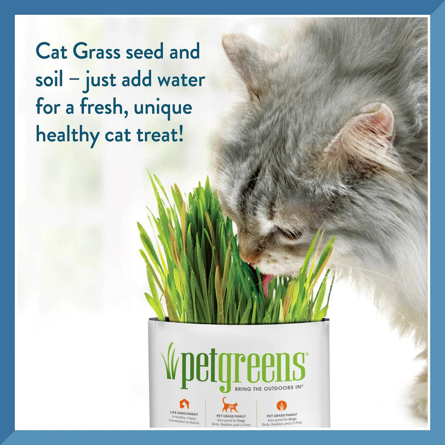 Pet Greens Self Grow Garden Wheat Grass Cat Treat, seed and soil-just add water for a fresh, unique healthy cat treat
