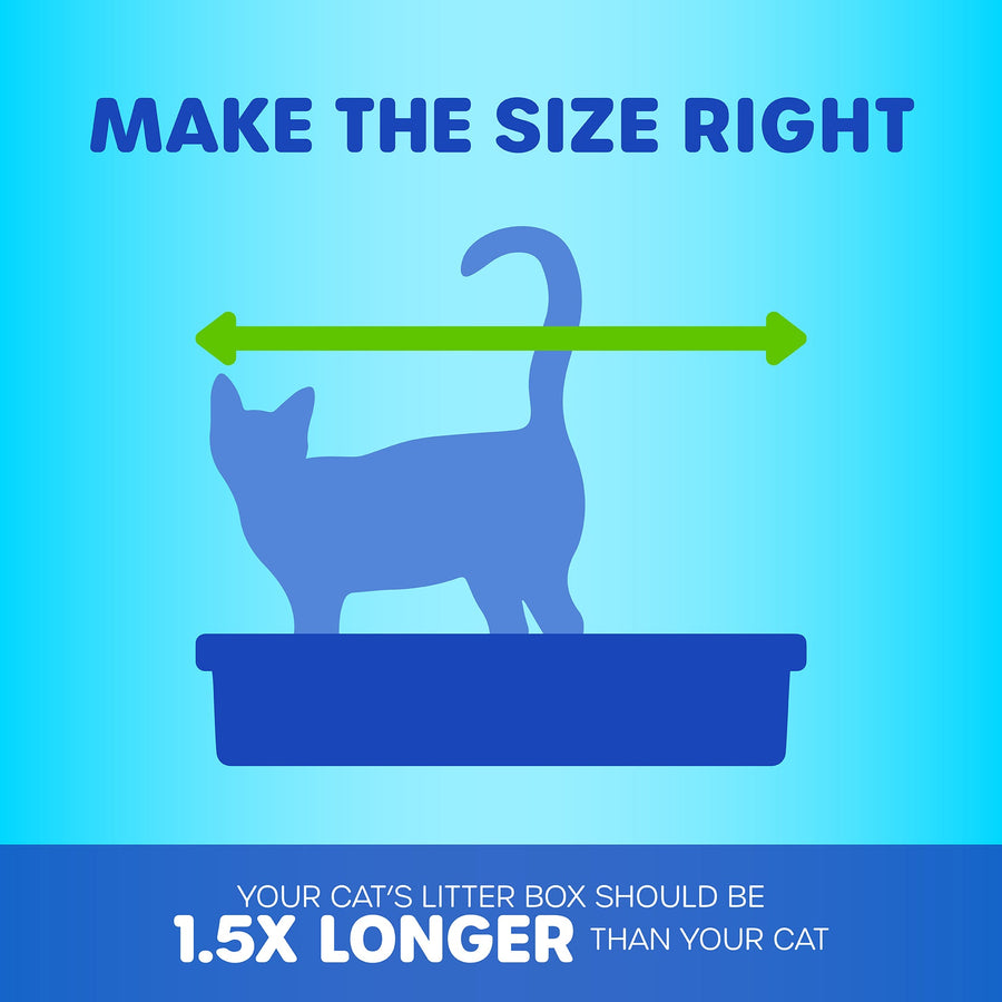 Make the size right. 