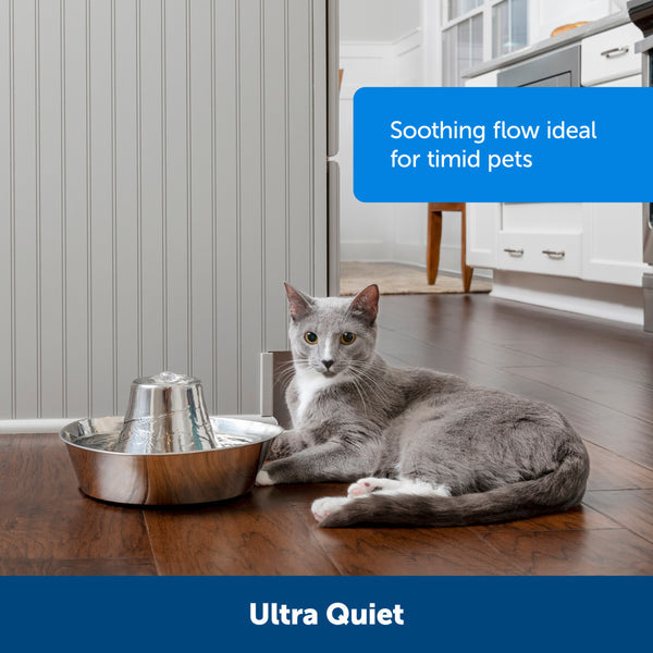 Soothing flow ideal for timid pets. 