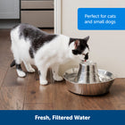 Perfect for cats and small dogs. 
